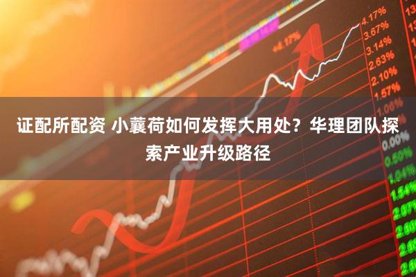 证配所配资 小蘘荷如何发挥大用处？华理团队探索产业升级路径