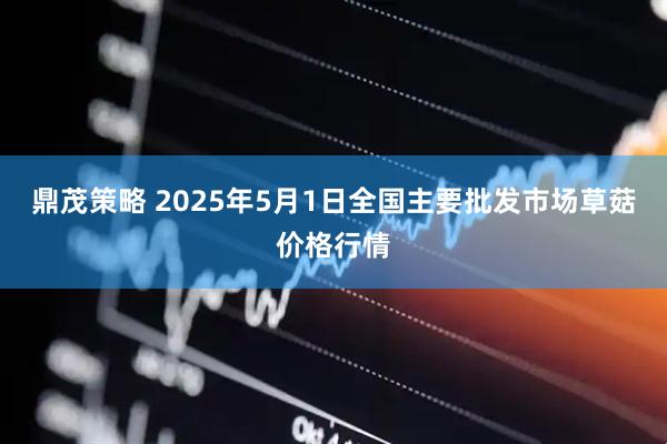 鼎茂策略 2025年5月1日全国主要批发市场草菇价格行情